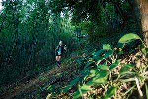 BIB: 
                            <button type="button" onclick="openModal(28124798)" class="btn btn-primary btn-sm float-right btn-popup" data-toggle="modal" data-target=".modal-high-quality">
                        <i class="fas fa-shopping-cart"></i> Add to Cart
                    </button>
                                            <button type="button" onclick="isThisMe(28124798, true)" class="btn btn-success btn-sm float-right btn-popup btn-isme hidden" data-toggle="tooltip" data-placement="bottom" title="นี่คือรูปของคุณใช่ไหม คลิกที่นี่เพื่อเอาเข้าอัลบั้ม">
                        <i class="fas fa-plus"></i> Add to album
                    </button>
                    <button type="button" onclick="isThisMe(28124798, false)" class="btn btn-warning btn-sm float-right btn-popup btn-isnotme hidden">
                        <i class="fas fa-ban"></i> Remove from album
                    </button>